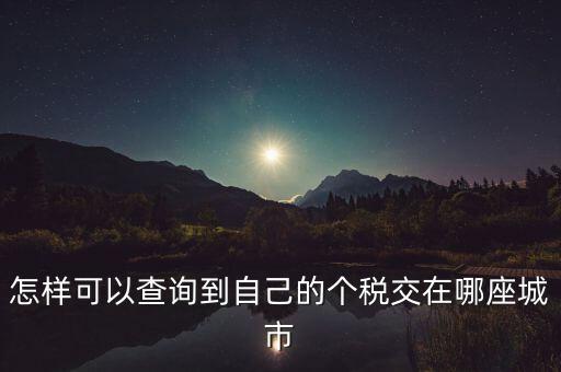 如何查詢個人所得稅所交地點，怎樣可以查詢到自己的個稅交在哪座城市