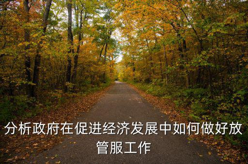 如何做好國稅系統(tǒng)的放管服工作，分析政府在促進(jìn)經(jīng)濟(jì)發(fā)展中如何做好放管服工作