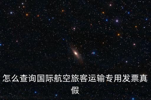 怎么查詢國際航空旅客運輸專用發(fā)票真假