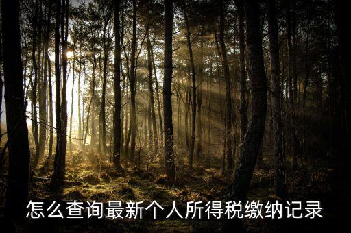 怎么查詢最新個人所得稅繳納記錄