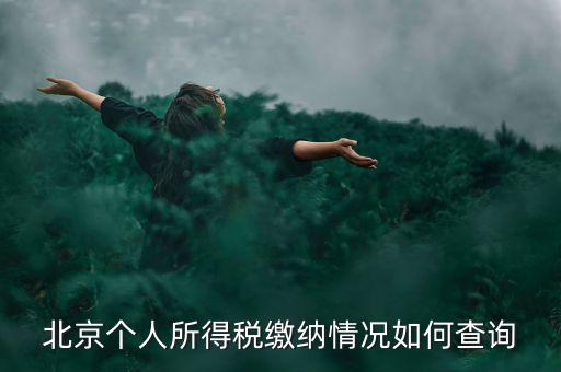 北京地稅個人如何查詢，如何查詢個人所得稅繳稅記錄