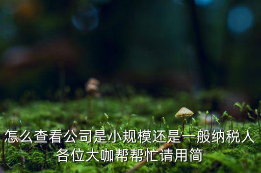 怎么查看公司是小規(guī)模還是一般納稅人各位大咖幫幫忙請用簡