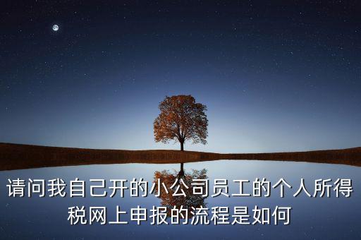 請(qǐng)問我自己開的小公司員工的個(gè)人所得稅網(wǎng)上申報(bào)的流程是如何