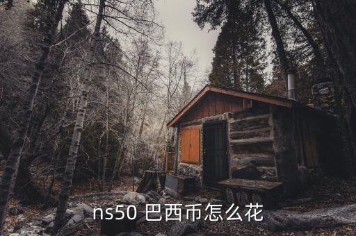 ns50 巴西幣怎么花