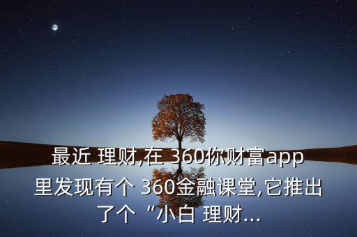 360理財怎么樣,360天"rmb理財約定持有360天到期