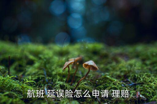 航班 延誤險(xiǎn)怎么申請 理賠