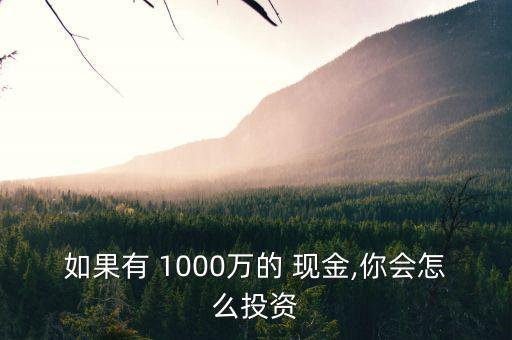 1000萬元現金怎么藏,如何理財?