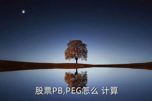 股票peg怎么計算,a股票當前市盈率為20倍