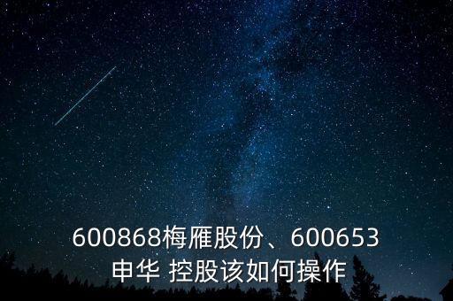 600868梅雁股份、600653 申華 控股該如何操作