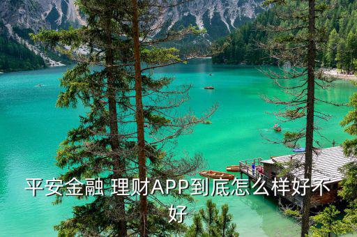 平安金融 理財APP到底怎么樣好不好