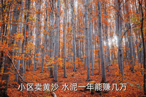 小區(qū)賣黃沙 水泥一年能賺幾萬