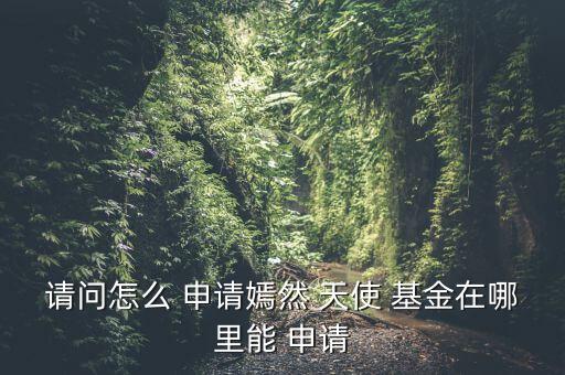 請(qǐng)問怎么 申請(qǐng)嫣然 天使 基金在哪里能 申請(qǐng)