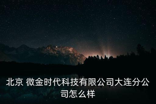 北京 微金時代科技有限公司大連分公司怎么樣