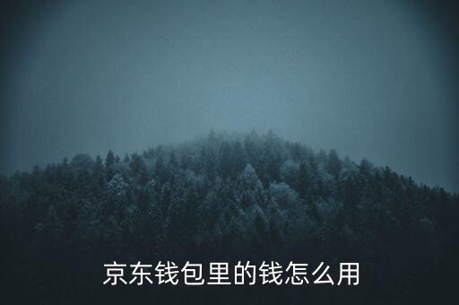 京東怎么使用網(wǎng)銀錢包,中國新增11起病例全由境外輸入