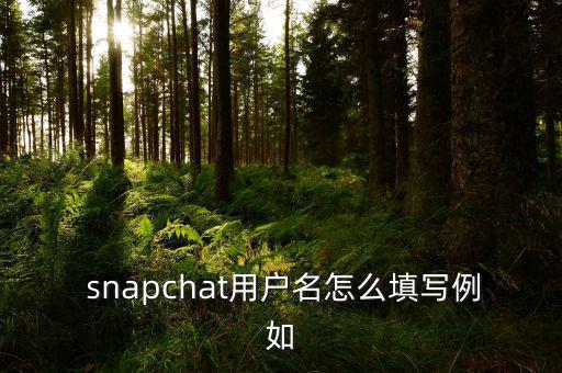  snapchat用戶(hù)名怎么填寫(xiě)例如