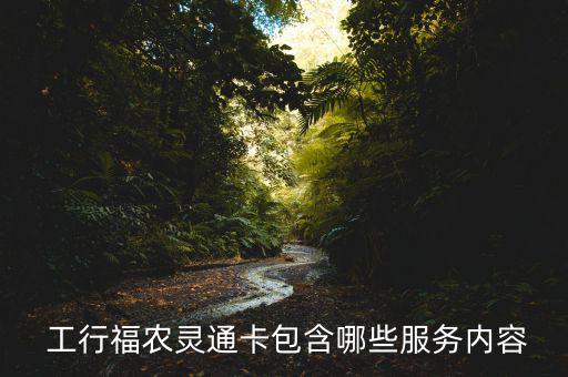  工行福農(nóng)靈通卡包含哪些服務內容