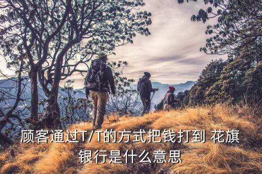 顧客通過(guò)T/T的方式把錢(qián)打到 花旗銀行是什么意思