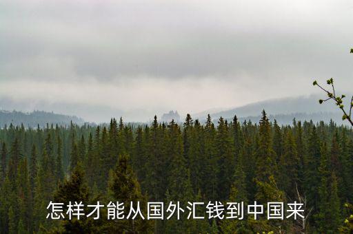 外資起業(yè)掙到錢怎么匯回本國(guó),銀行接收境外匯款免費(fèi)或更快到賬