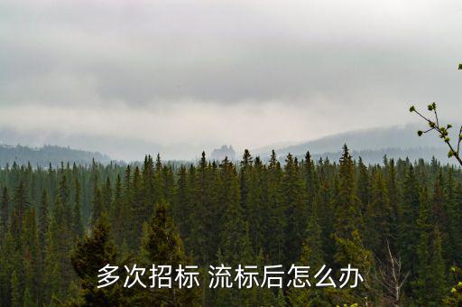 多次招標 流標后怎么辦