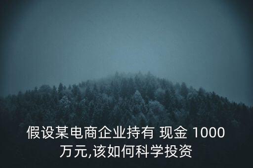 假設(shè)某電商企業(yè)持有 現(xiàn)金 1000萬(wàn)元,該如何科學(xué)投資