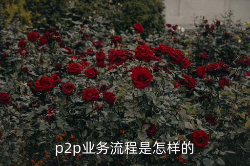 p2pp2p怎么做,p2p理財模式