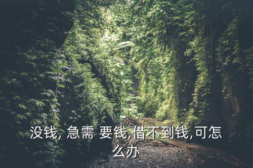 沒錢, 急需 要錢,借不到錢,可怎么辦