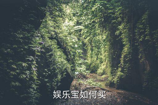  娛樂寶如何買