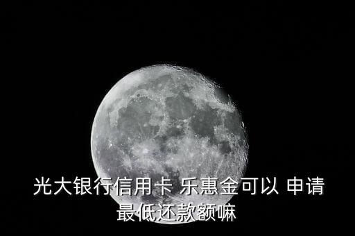  光大銀行信用卡 樂惠金可以 申請(qǐng)最低還款額嘛