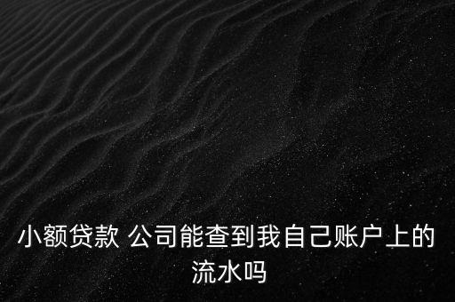 小額貸款 公司能查到我自己賬戶上的 流水嗎