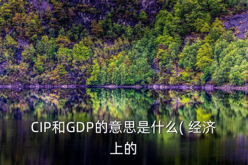 CIP和GDP的意思是什么( 經(jīng)濟上的