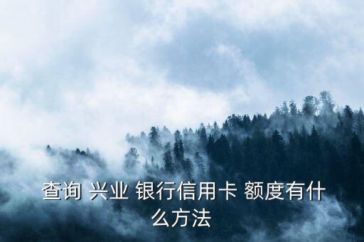  查詢 興業(yè) 銀行信用卡 額度有什么方法