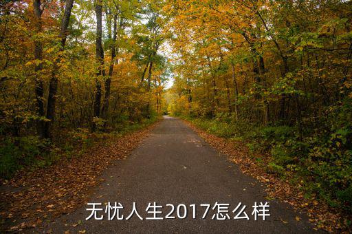  無憂人生2017怎么樣