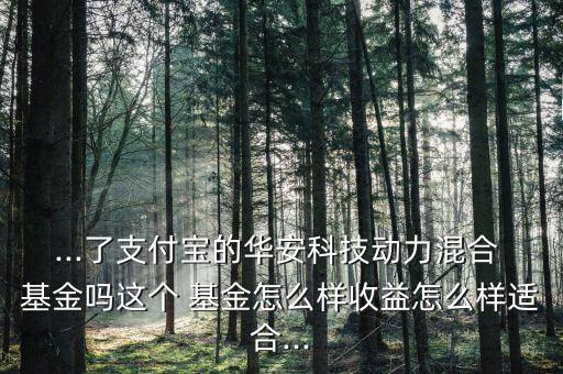 ...了支付寶的華安科技動力混合 基金嗎這個 基金怎么樣收益怎么樣適合...