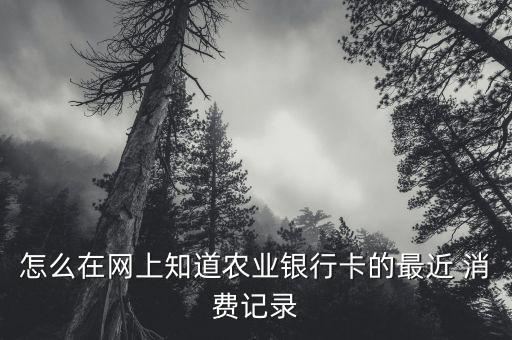 怎么在網(wǎng)上知道農(nóng)業(yè)銀行卡的最近 消費記錄