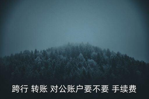 跨行 轉(zhuǎn)賬 對(duì)公賬戶(hù)要不要 手續(xù)費(fèi)