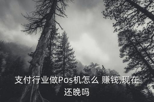 支付行業(yè)做Pos機怎么 賺錢,現(xiàn)在還晚嗎