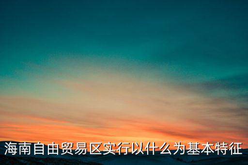 海南自由貿(mào)易區(qū)實(shí)行以什么為基本特征