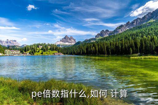  pe倍數(shù)指什么,如何 計算