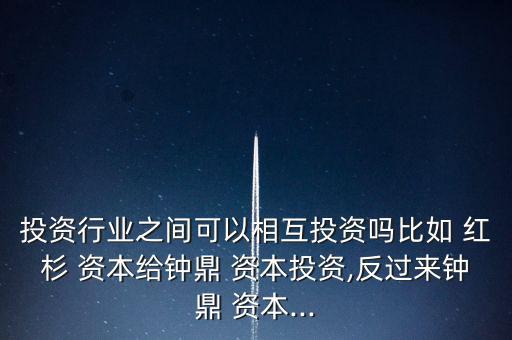 投資行業(yè)之間可以相互投資嗎比如 紅杉 資本給鐘鼎 資本投資,反過來鐘鼎 資本...