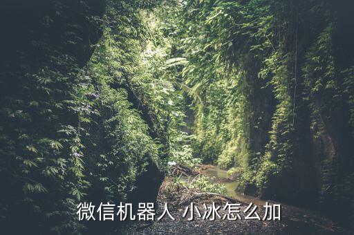  微信機(jī)器人 小冰怎么加