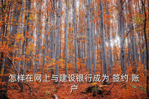 建行賬戶怎么簽約,如何申請開通個人網(wǎng)銀?