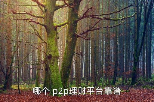 哪個 p2p理財平臺靠譜