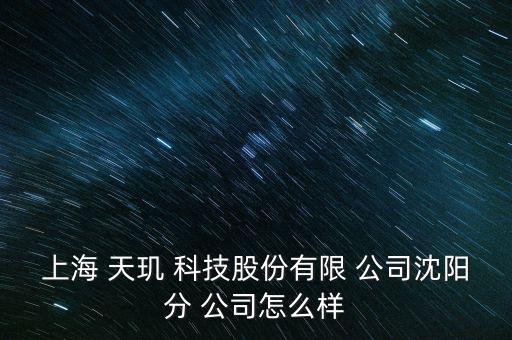 上海 天璣 科技股份有限 公司沈陽分 公司怎么樣