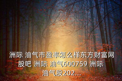 洲際油氣公司怎么樣,走出國(guó)門煉油化工企業(yè)-洲際油氣介紹一下