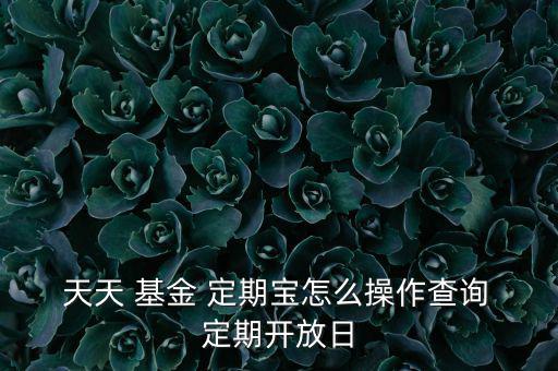  天天 基金 定期寶怎么操作查詢 定期開放日