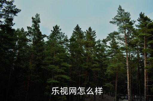 樂視網(wǎng)公司怎么樣,樂視網(wǎng)信息技術北京有限公司退市