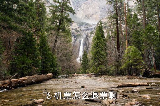 飛 機(jī)票怎么退票啊