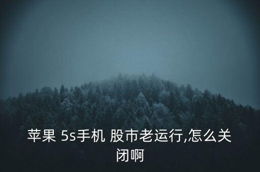 5s股市怎么使用,蘋果手機如何進行股票交易?