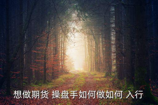 怎么入行做私募操盤手,職業(yè)操盤手的職業(yè)道路