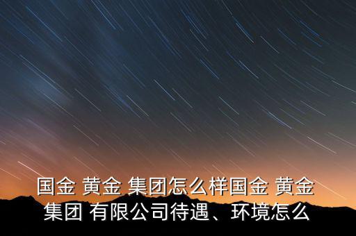 國金 黃金 集團(tuán)怎么樣國金 黃金 集團(tuán) 有限公司待遇、環(huán)境怎么